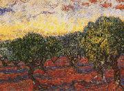 Vincent Van Gogh Olive Grove France oil painting artist